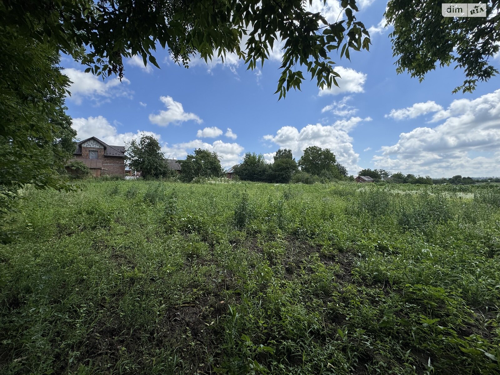 Земельный участок сельскохозяйственного назначения в Ружичанке, площадь 18 соток фото 1 Земельный участок сельскохозяйственного назначения в Ружичанке, площадь 18 соток фото 1