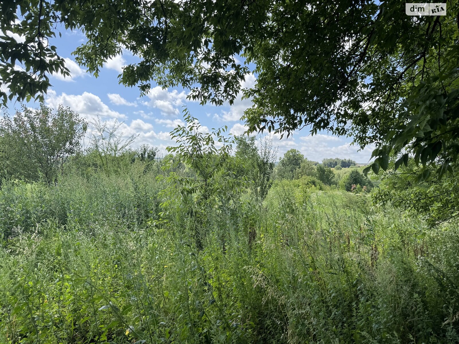 Земельный участок сельскохозяйственного назначения в Ружичанке, площадь 18 соток фото 1 Земельный участок сельскохозяйственного назначения в Ружичанке, площадь 18 соток фото 1