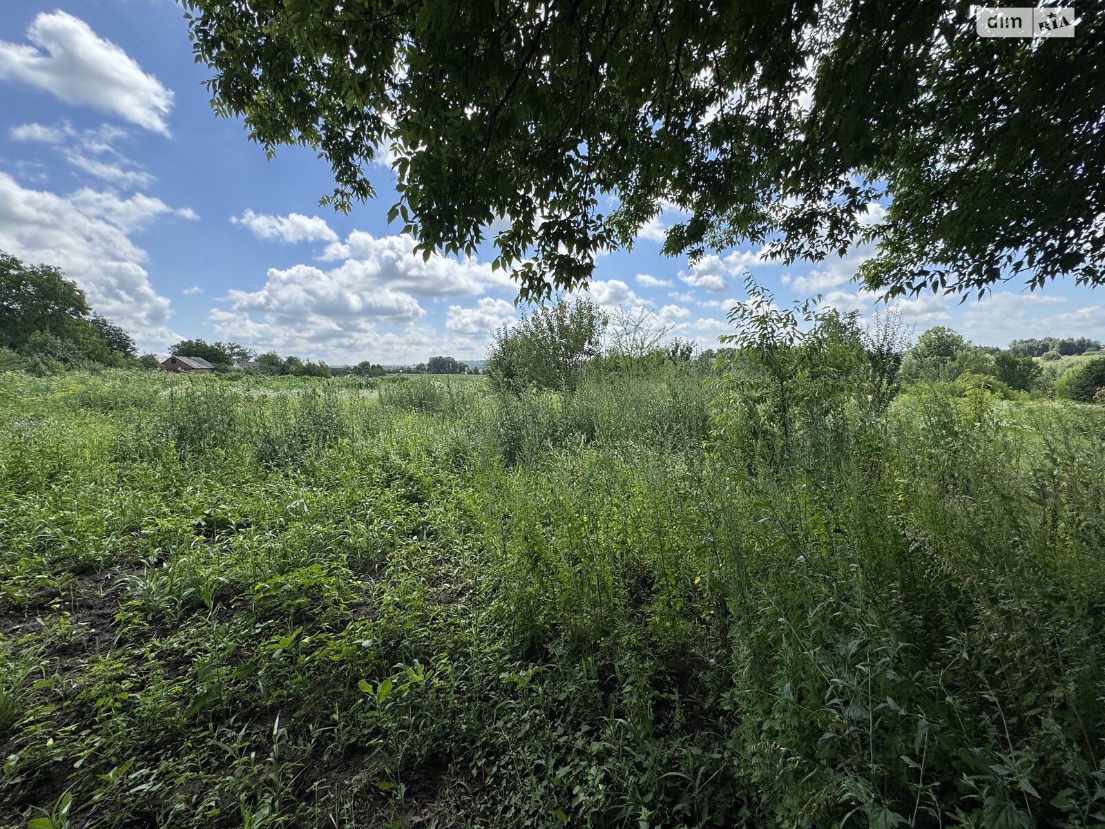 Земельный участок сельскохозяйственного назначения в Ружичанке, площадь 18 соток фото 1 Земельный участок сельскохозяйственного назначения в Ружичанке, площадь 18 соток фото 1