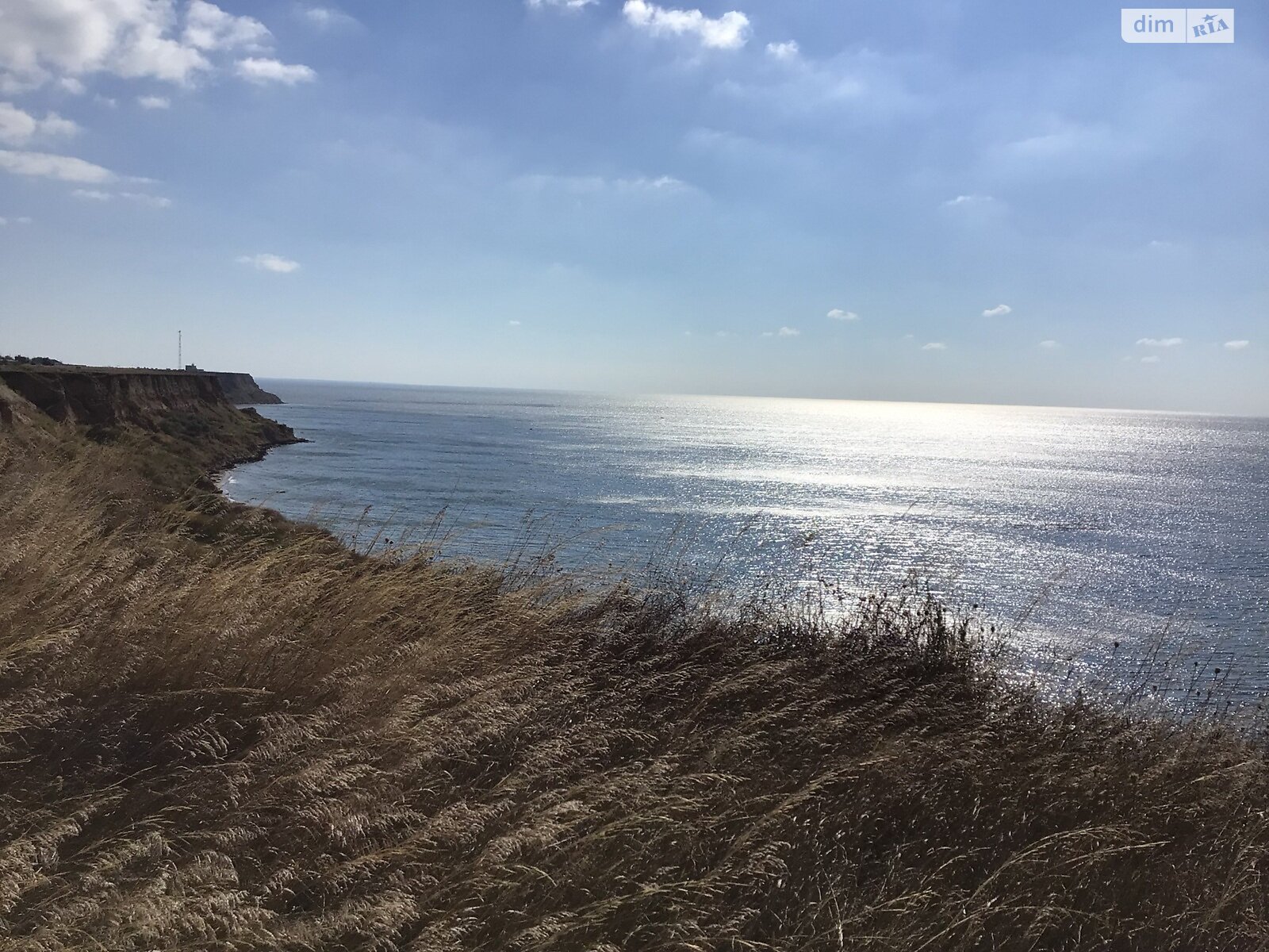 Земельна ділянка сільськогосподарського призначення в Рибаківці, площа 25 соток фото 1