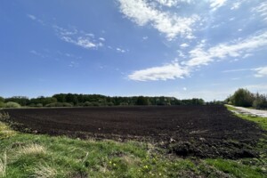 Земельный участок сельскохозяйственного назначения в Садовом, площадь 1 Га фото 2