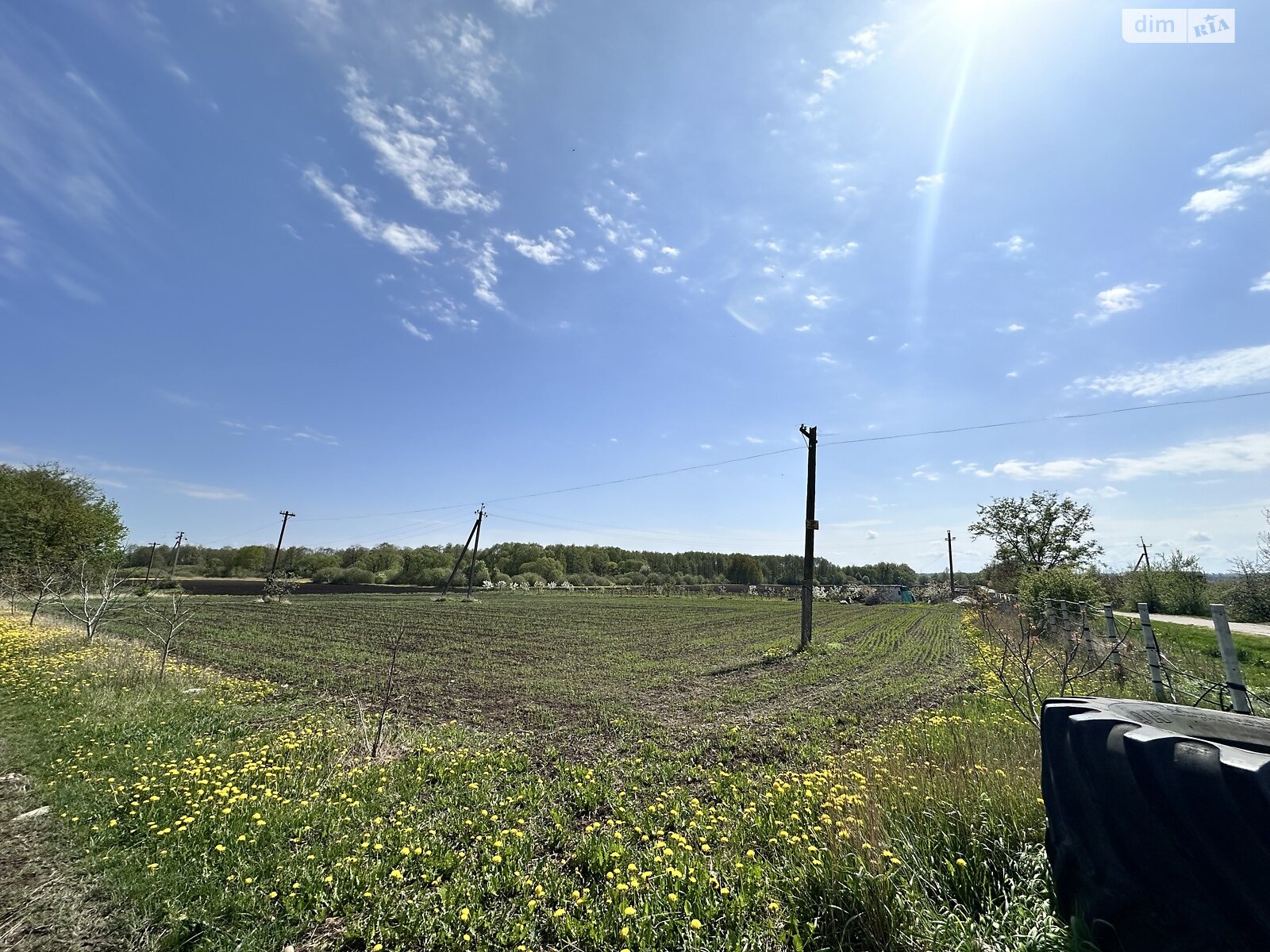 Земельный участок сельскохозяйственного назначения в Садовом, площадь 1 Га фото 1