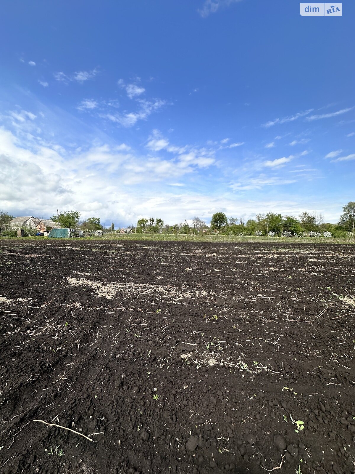 Земельный участок сельскохозяйственного назначения в Садовом, площадь 1 Га фото 1