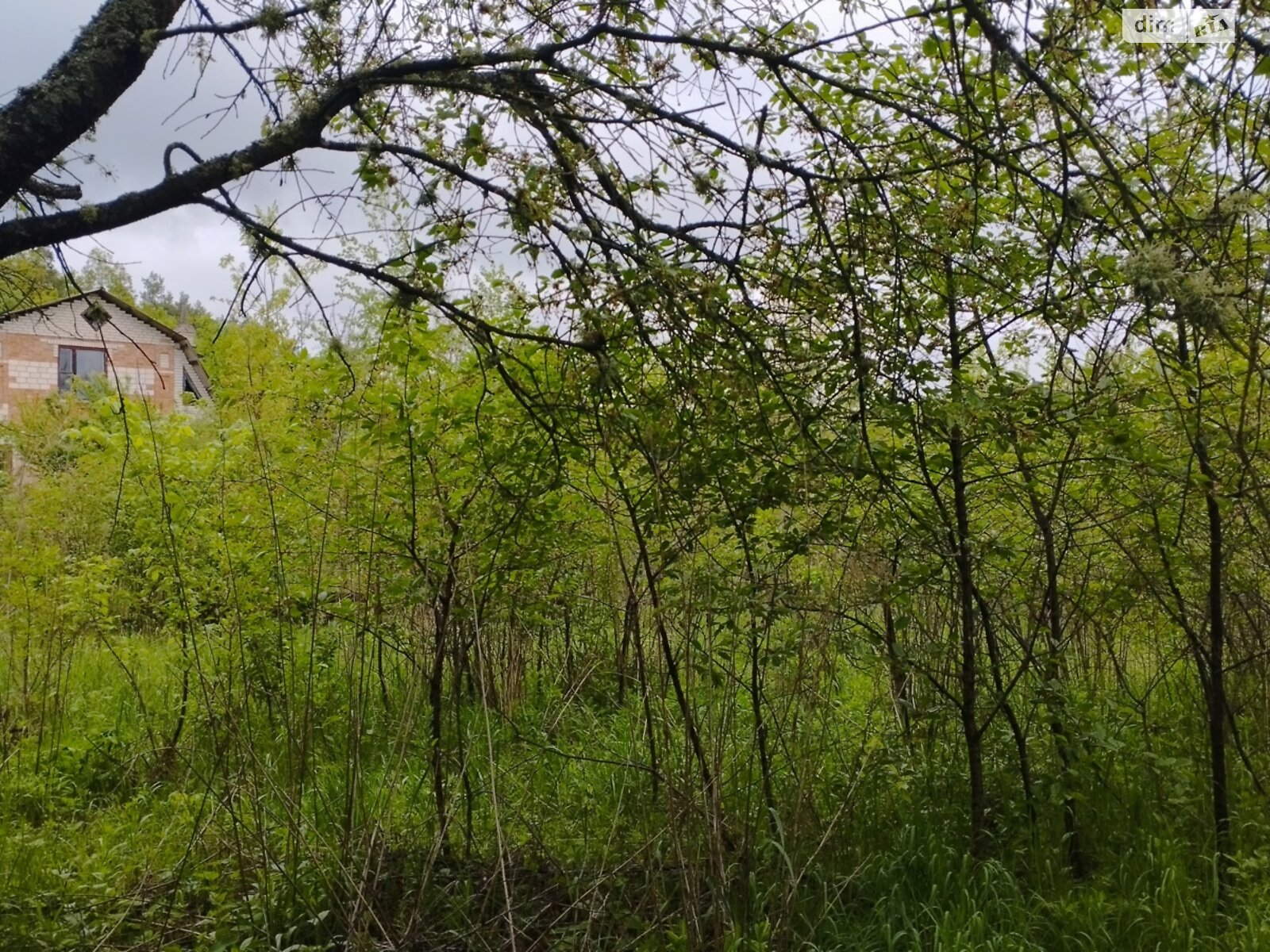 Земельна ділянка сільськогосподарського призначення в Сальнику, площа 9.69 сотки фото 1 Земельна ділянка сільськогосподарського призначення в Сальнику, площа 9.69 сотки фото 1