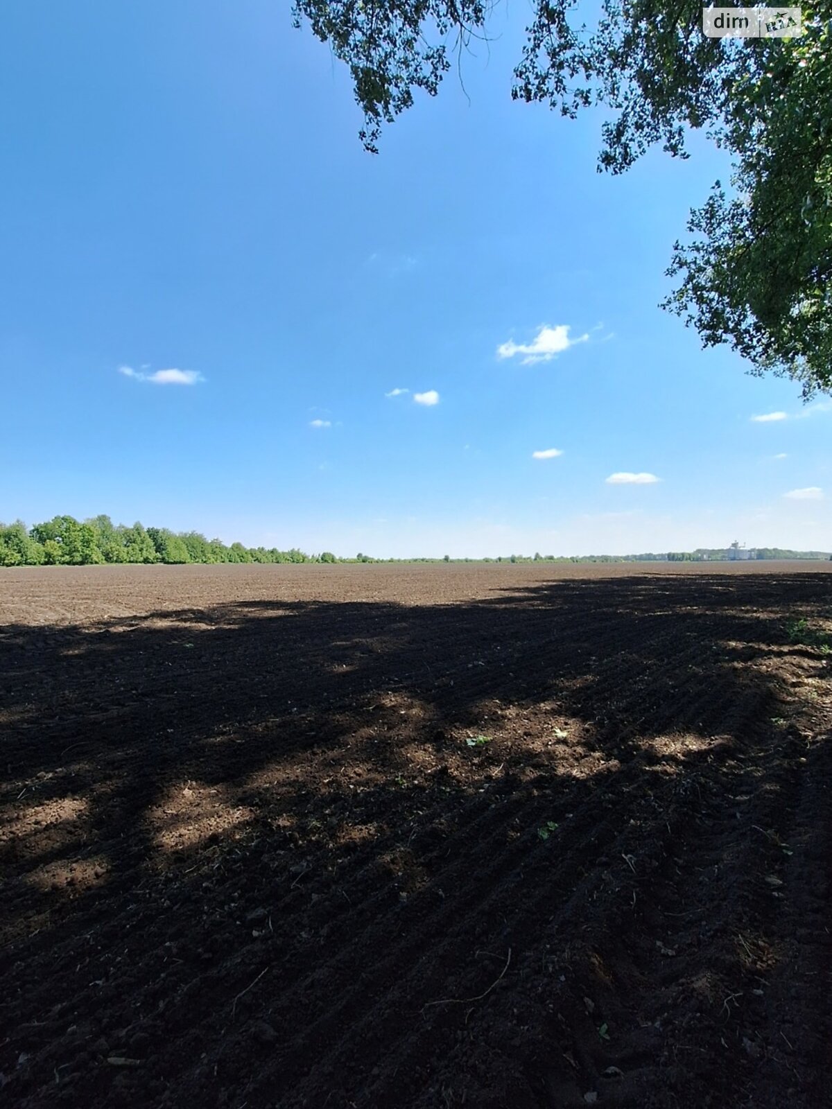 Земельна ділянка сільськогосподарського призначення в Сальнику, площа 2.18 Га фото 1