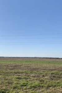 Земельна ділянка сільськогосподарського призначення в Сарнах, площа 16.79 Га фото 2