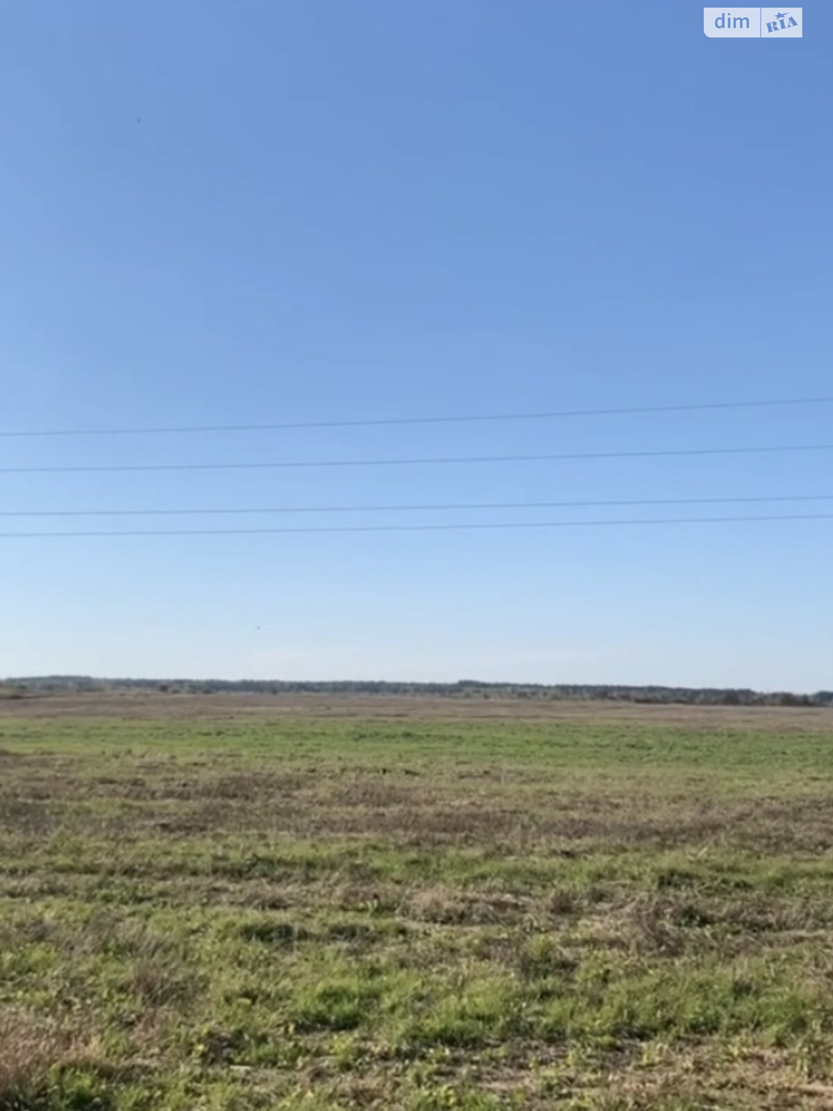 Земельна ділянка сільськогосподарського призначення в Сарнах, площа 16.79 Га фото 1 Земельна ділянка сільськогосподарського призначення в Сарнах, площа 16.79 Га фото 1