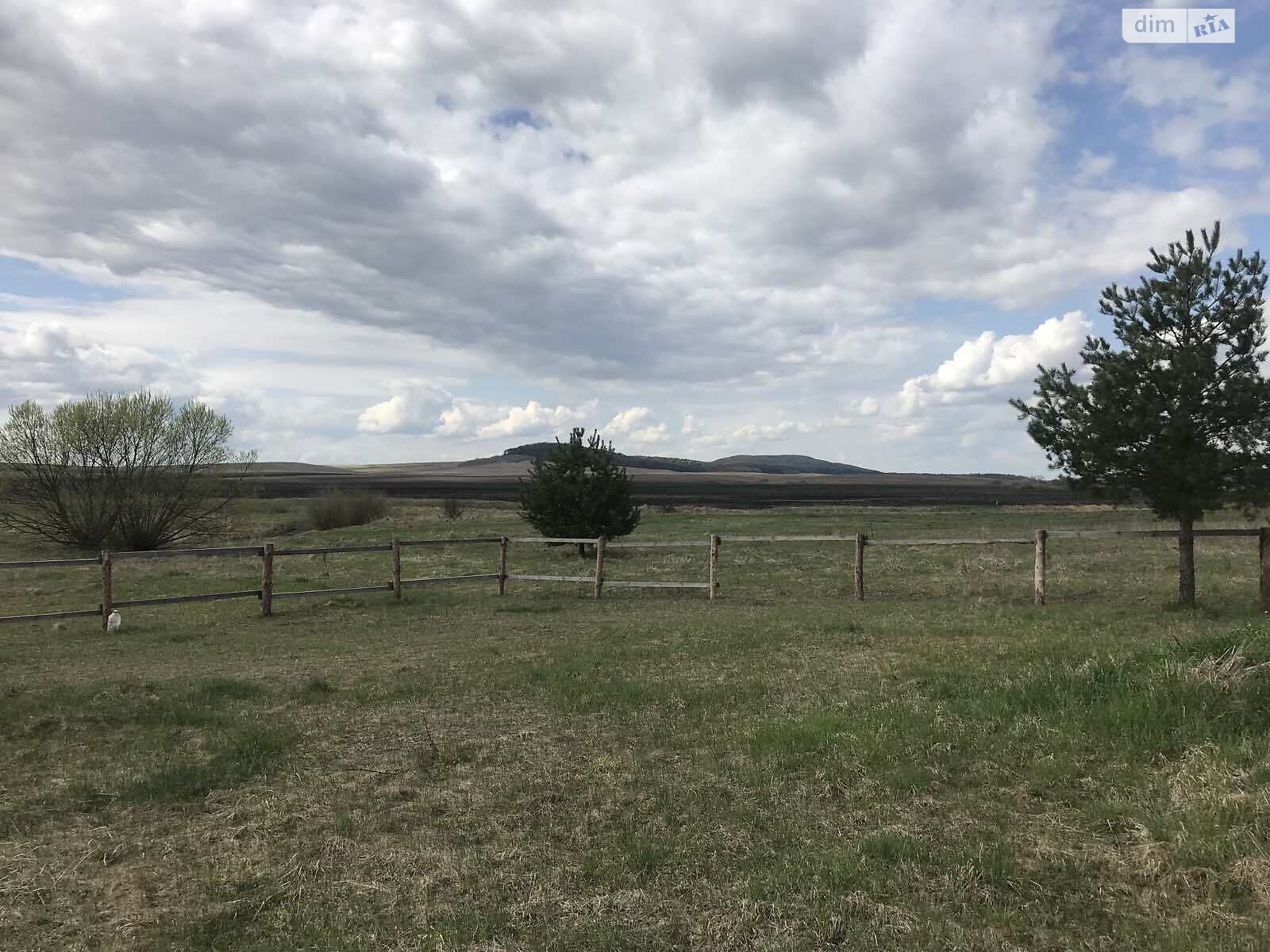 Земельный участок сельскохозяйственного назначения в Сасовом, площадь 25 соток фото 1 Земельный участок сельскохозяйственного назначения в Сасовом, площадь 25 соток фото 1