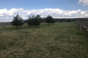 Земельный участок сельскохозяйственного назначения в Сасовом, площадь 25 соток фото 2 Земельный участок сельскохозяйственного назначения в Сасовом, площадь 25 соток фото 2