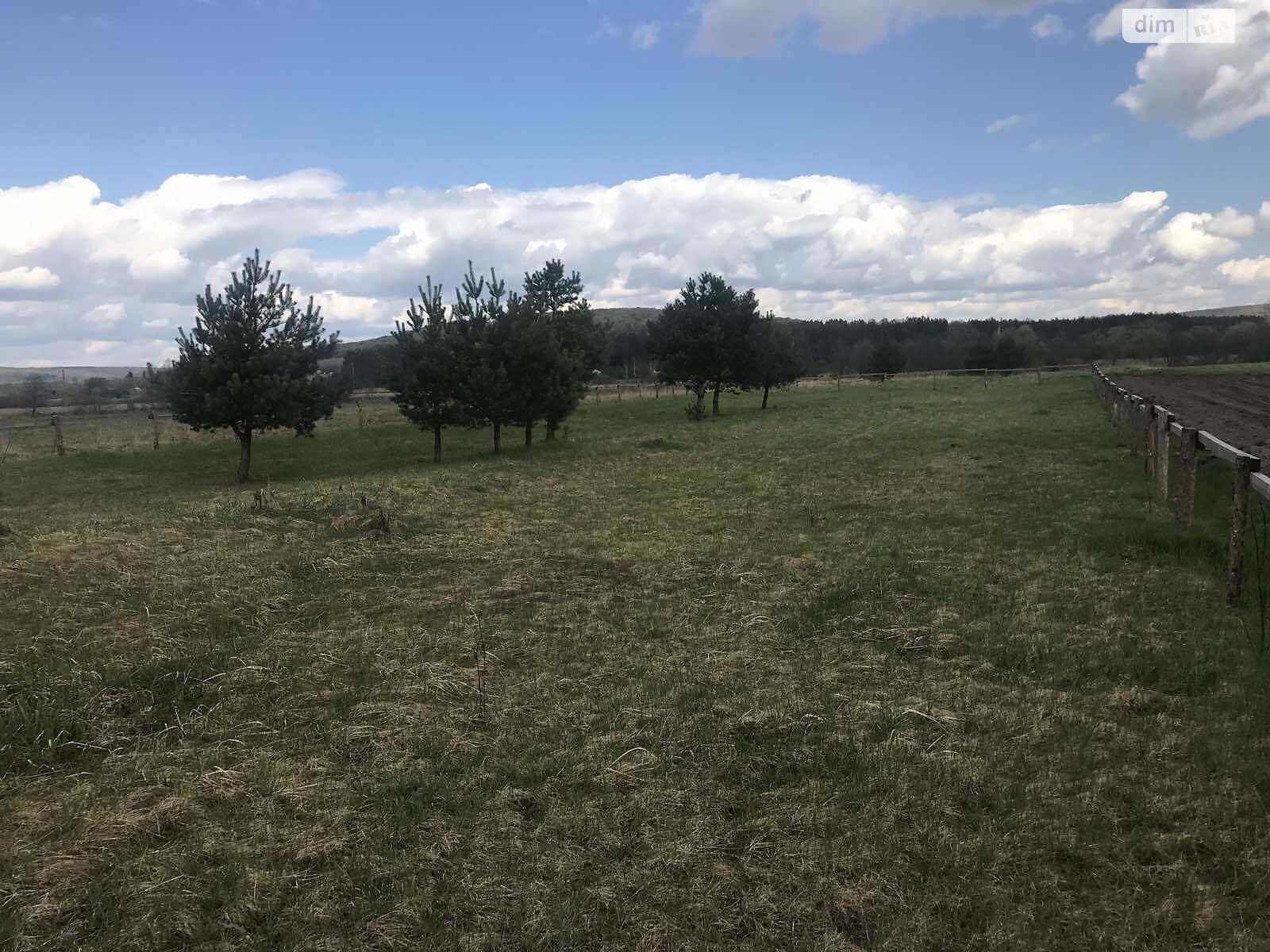Земельный участок сельскохозяйственного назначения в Сасовом, площадь 25 соток фото 1 Земельный участок сельскохозяйственного назначения в Сасовом, площадь 25 соток фото 1