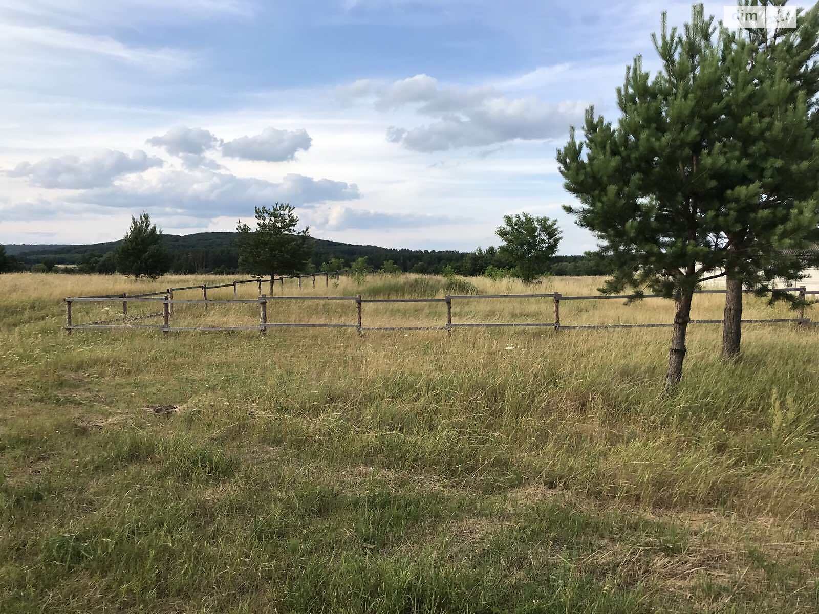 Земельный участок сельскохозяйственного назначения в Сасовом, площадь 25 соток фото 1 Земельный участок сельскохозяйственного назначения в Сасовом, площадь 25 соток фото 1