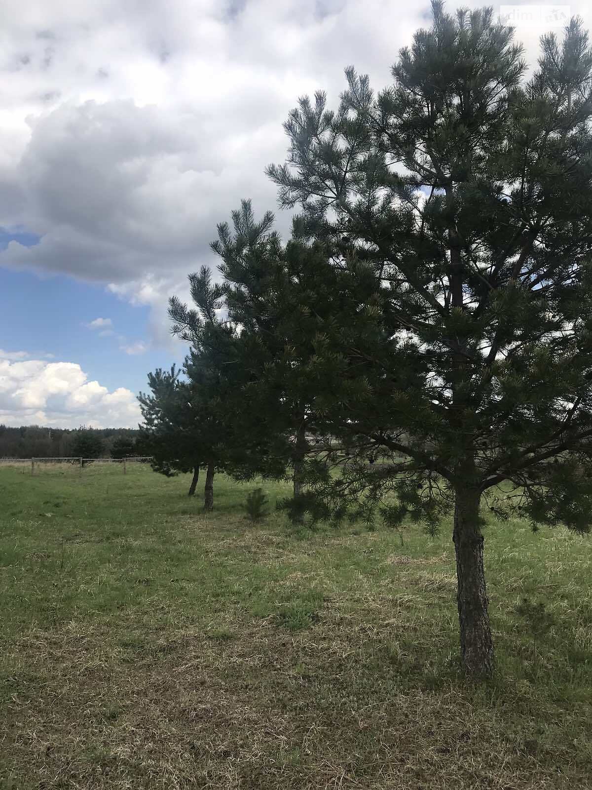 Земельный участок сельскохозяйственного назначения в Сасовом, площадь 25 соток фото 1 Земельный участок сельскохозяйственного назначения в Сасовом, площадь 25 соток фото 1