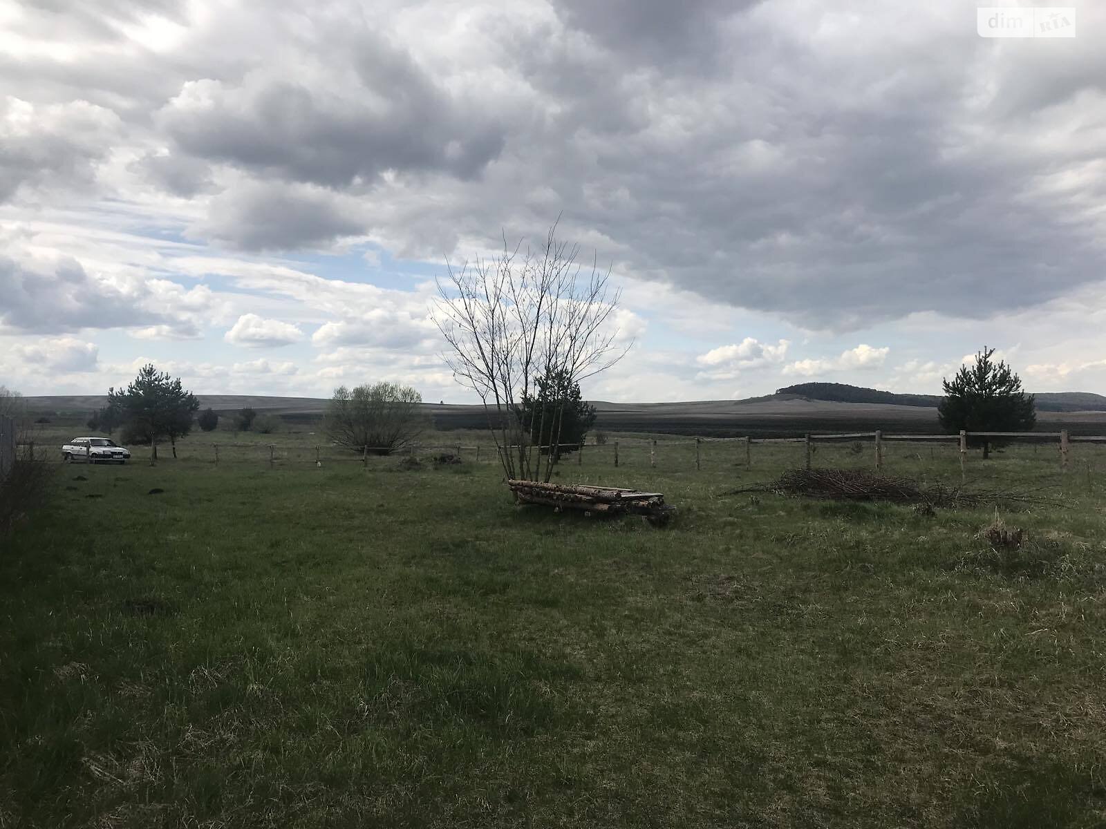 Земельный участок сельскохозяйственного назначения в Сасовом, площадь 25 соток фото 1 Земельный участок сельскохозяйственного назначения в Сасовом, площадь 25 соток фото 1