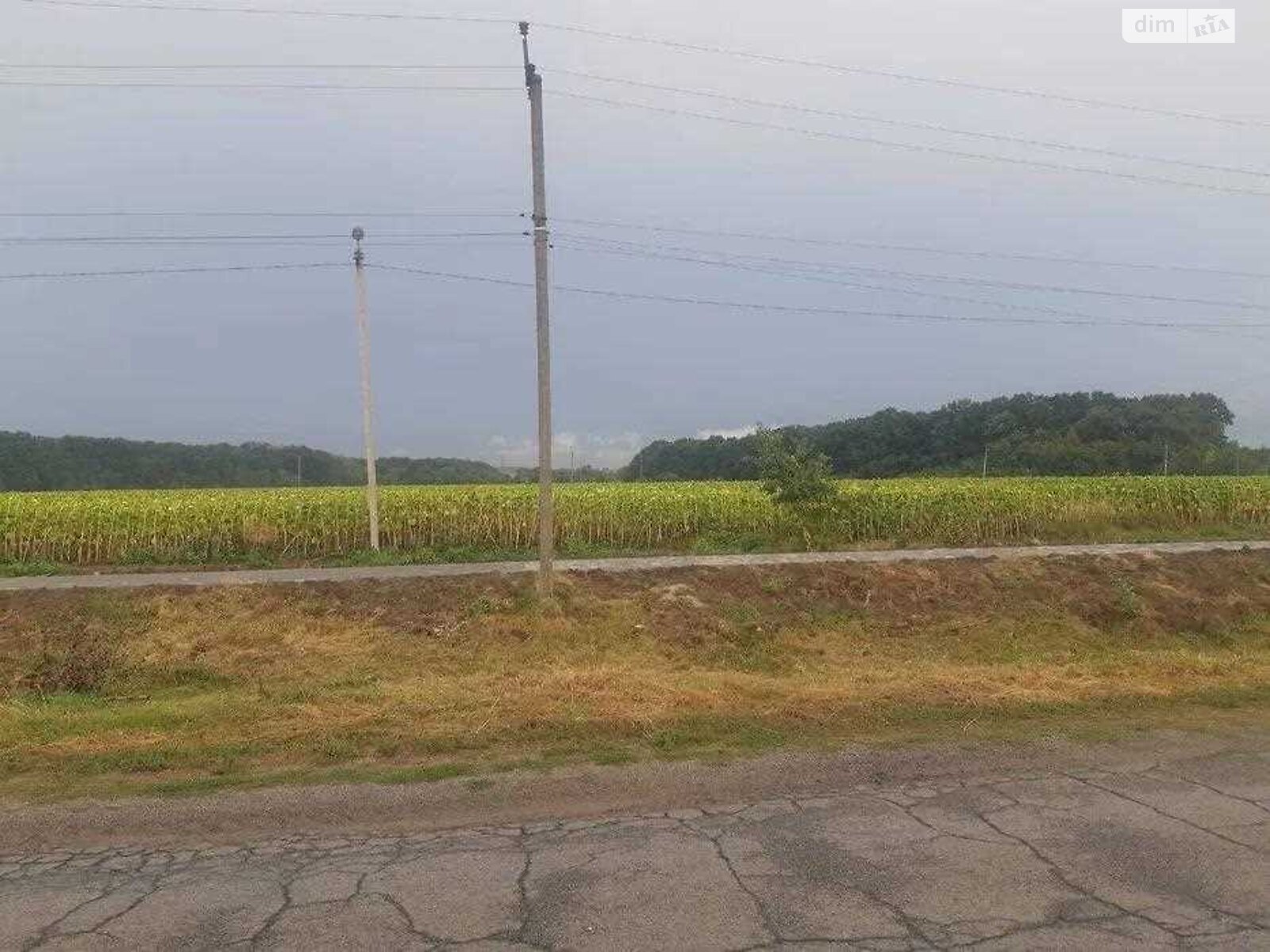 Земельный участок сельскохозяйственного назначения в Щербанях, площадь 134 сотки фото 1