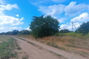 Земельна ділянка сільськогосподарського призначення в Щербанях, площа 275 соток фото 2