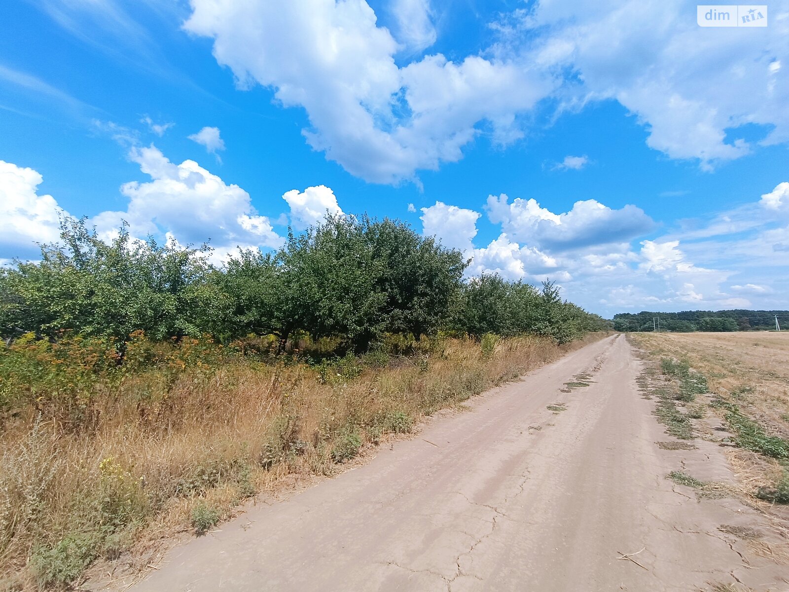 Земельна ділянка сільськогосподарського призначення в Щербанях, площа 275 соток фото 1 Земельна ділянка сільськогосподарського призначення в Щербанях, площа 275 соток фото 1