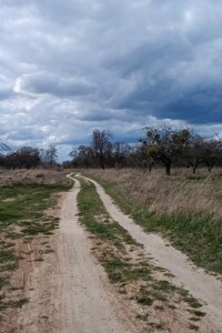 Земельна ділянка сільськогосподарського призначення в Щітках, площа 10 соток фото 2