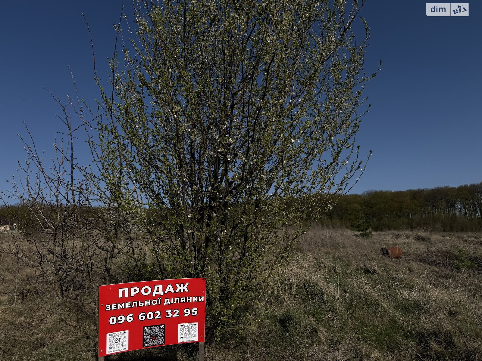 Земельна ділянка сільськогосподарського призначення в Парпурівцях, площа 48 соток фото 1 Земельна ділянка сільськогосподарського призначення в Парпурівцях, площа 48 соток фото 1