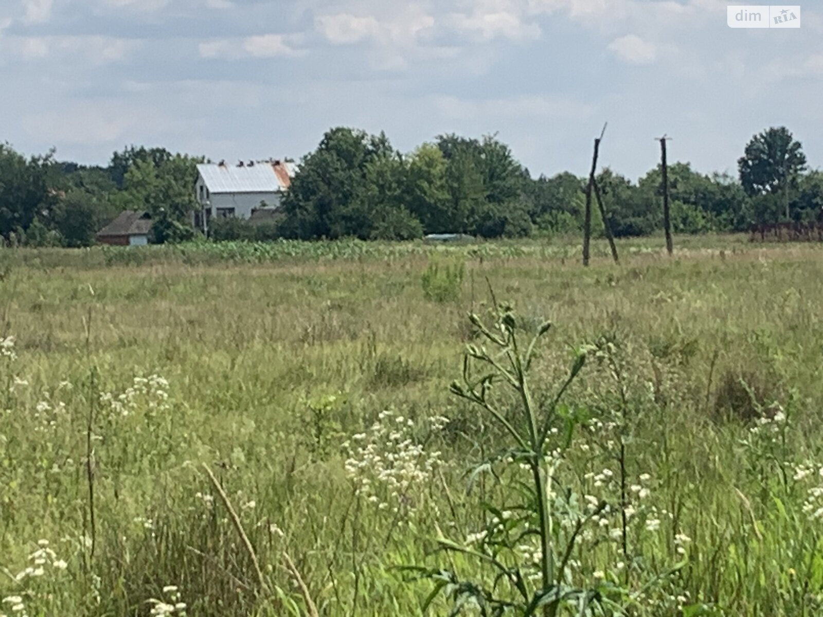 Земельна ділянка сільськогосподарського призначення в Селищі, площа 8 соток фото 1