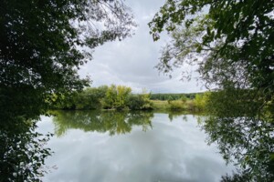 Земельна ділянка сільськогосподарського призначення в Селищі, площа 8 соток фото 2