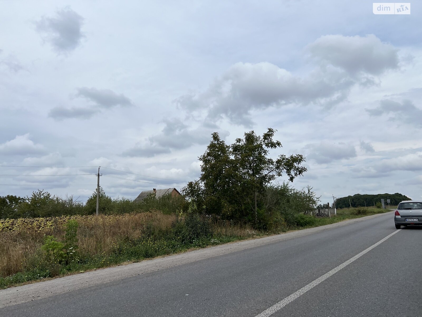 Земельна ділянка сільськогосподарського призначення в Селищі, площа 50 соток фото 1