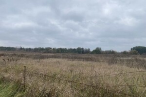 Земельный участок сельскохозяйственного назначения в Селище, площадь 15 соток фото 2 Земельный участок сельскохозяйственного назначения в Селище, площадь 15 соток фото 2