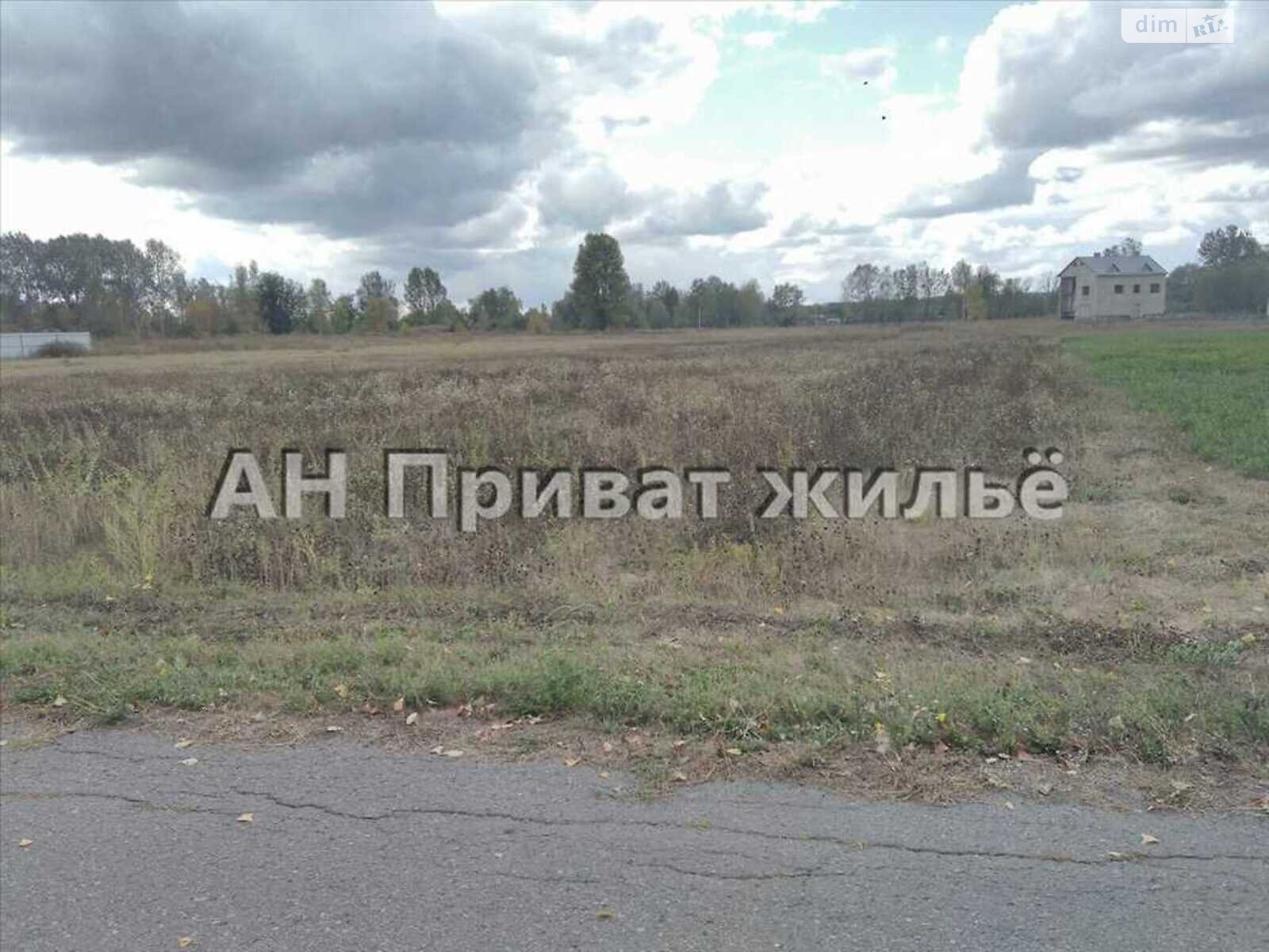 Земельный участок сельскохозяйственного назначения в Семьяновке, площадь 13 соток фото 1