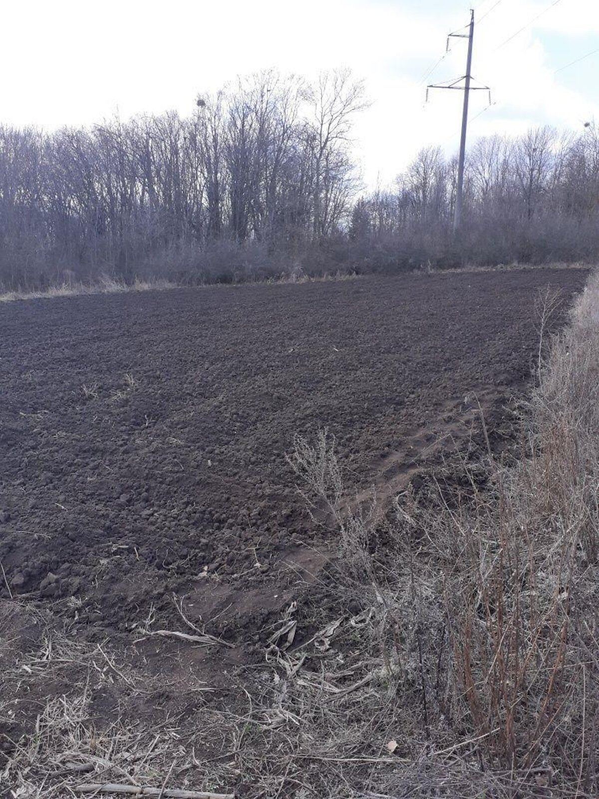 Земельный участок сельскохозяйственного назначения в Семьяновке, площадь 10 соток фото 1