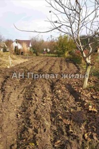 Земельный участок сельскохозяйственного назначения в Семьяновке, площадь 7 соток фото 2