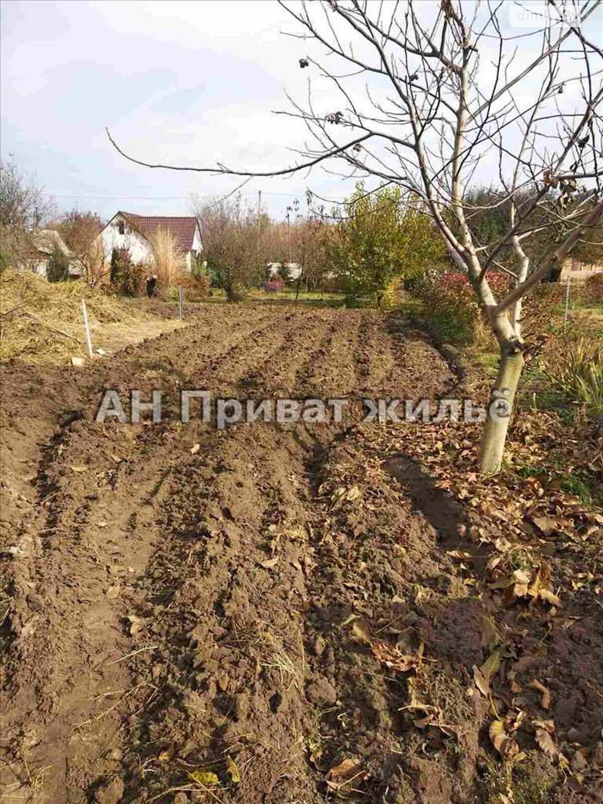 Земельный участок сельскохозяйственного назначения в Семьяновке, площадь 7 соток фото 1