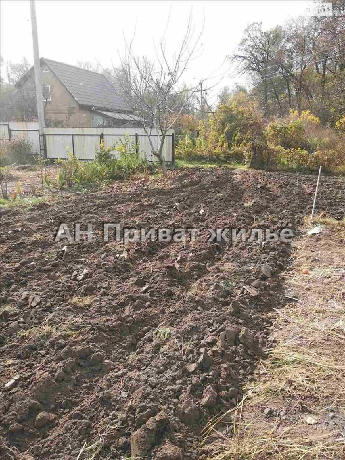 Земельна ділянка сільськогосподарського призначення в Сем’янівці, площа 7 соток фото 1
