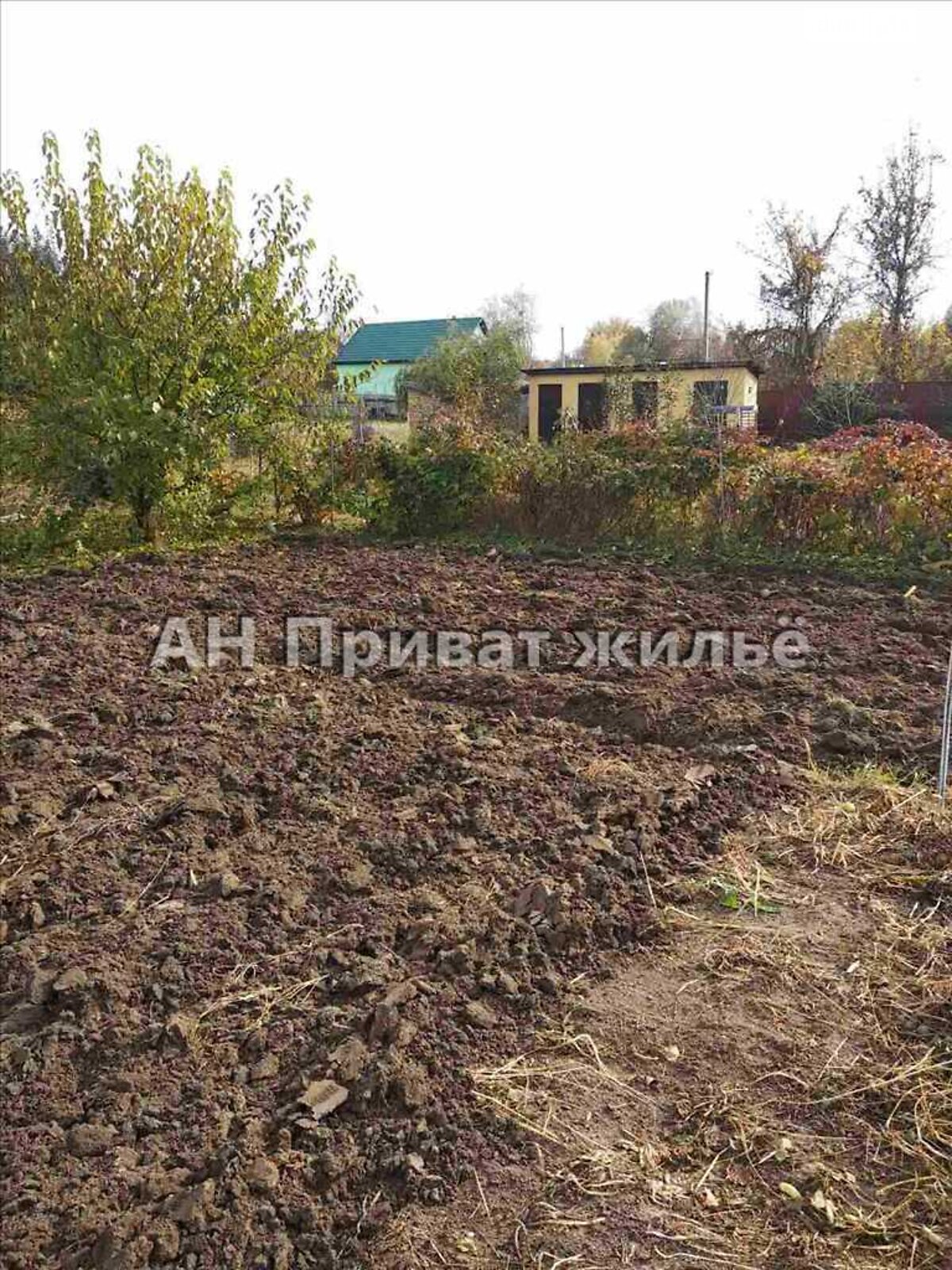 Земельна ділянка сільськогосподарського призначення в Сем’янівці, площа 7 соток фото 1