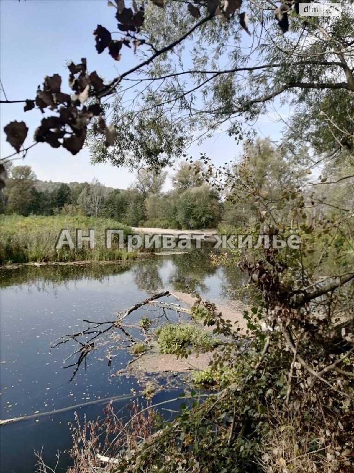 Земельна ділянка сільськогосподарського призначення в Сем’янівці, площа 7 соток фото 1