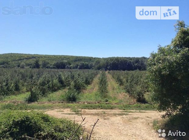 Продажа земли сельскохозяйственного назначения, Республика Крым, Севастополь, c. Любимовка, Село Нахаловка Продажа земли сельскохозяйственного назначения, Республика Крым, Севастополь, c. Любимовка, Село Нахаловка