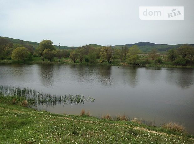 Земля сільськогосподарського призначення в селі Орлине, площа 190 соток фото 1