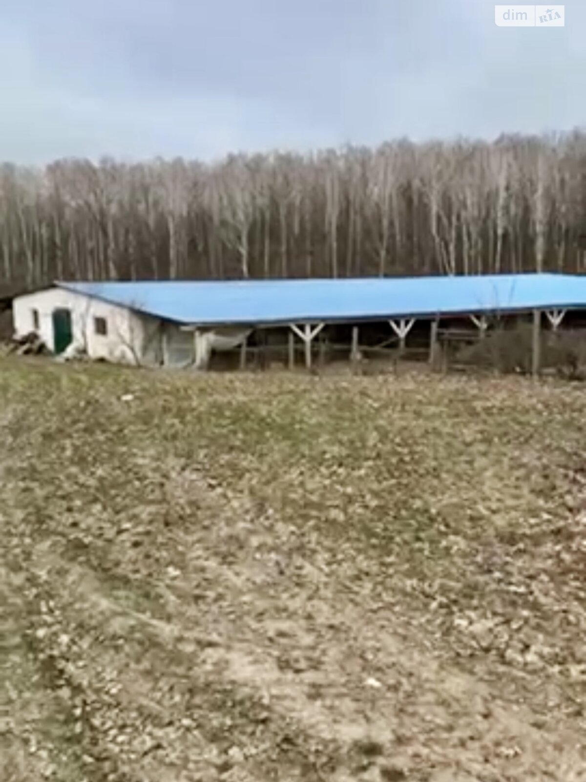Земельный участок сельскохозяйственного назначения в Севериновке, площадь 2 Га фото 1 Земельный участок сельскохозяйственного назначения в Севериновке, площадь 2 Га фото 1