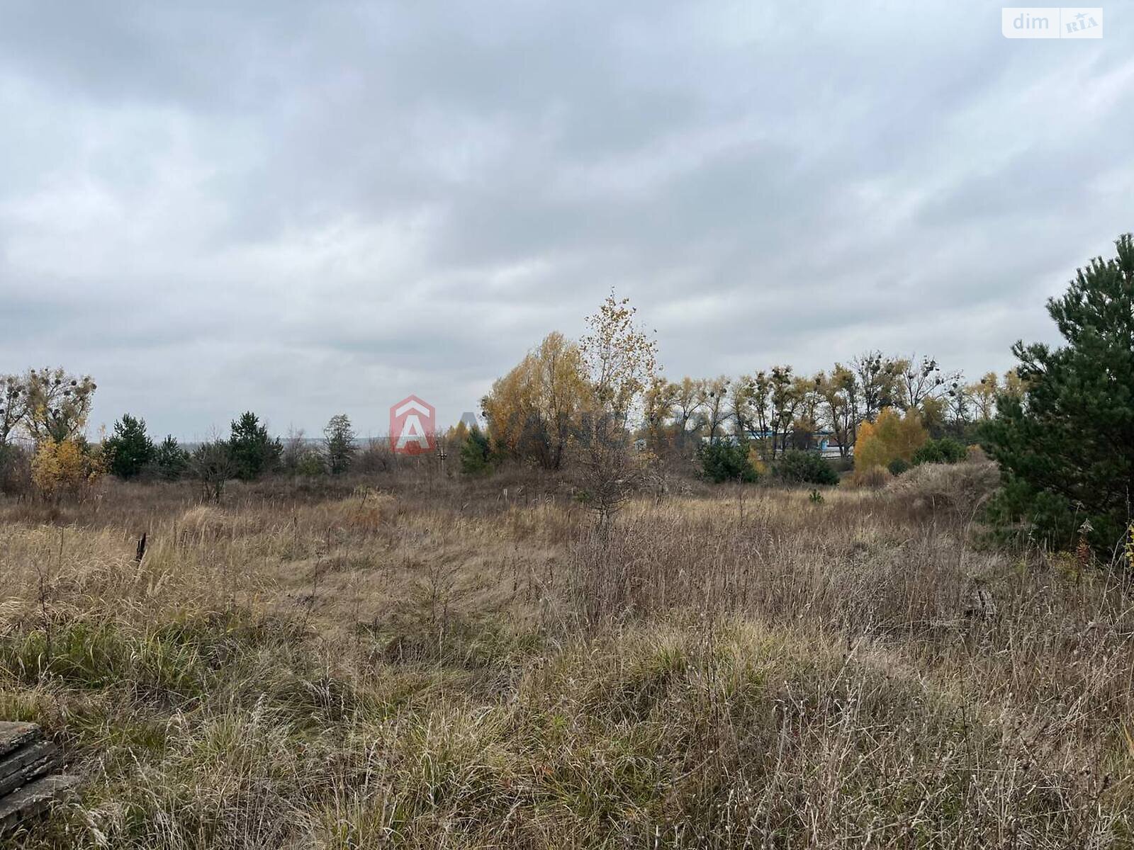 Земельна ділянка сільськогосподарського призначення в Северинівці, площа 475.63 сотки фото 1