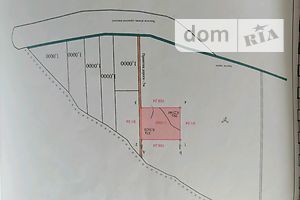 Земельный участок сельскохозяйственного назначения в Копыстирине, площадь 1 Га фото 2