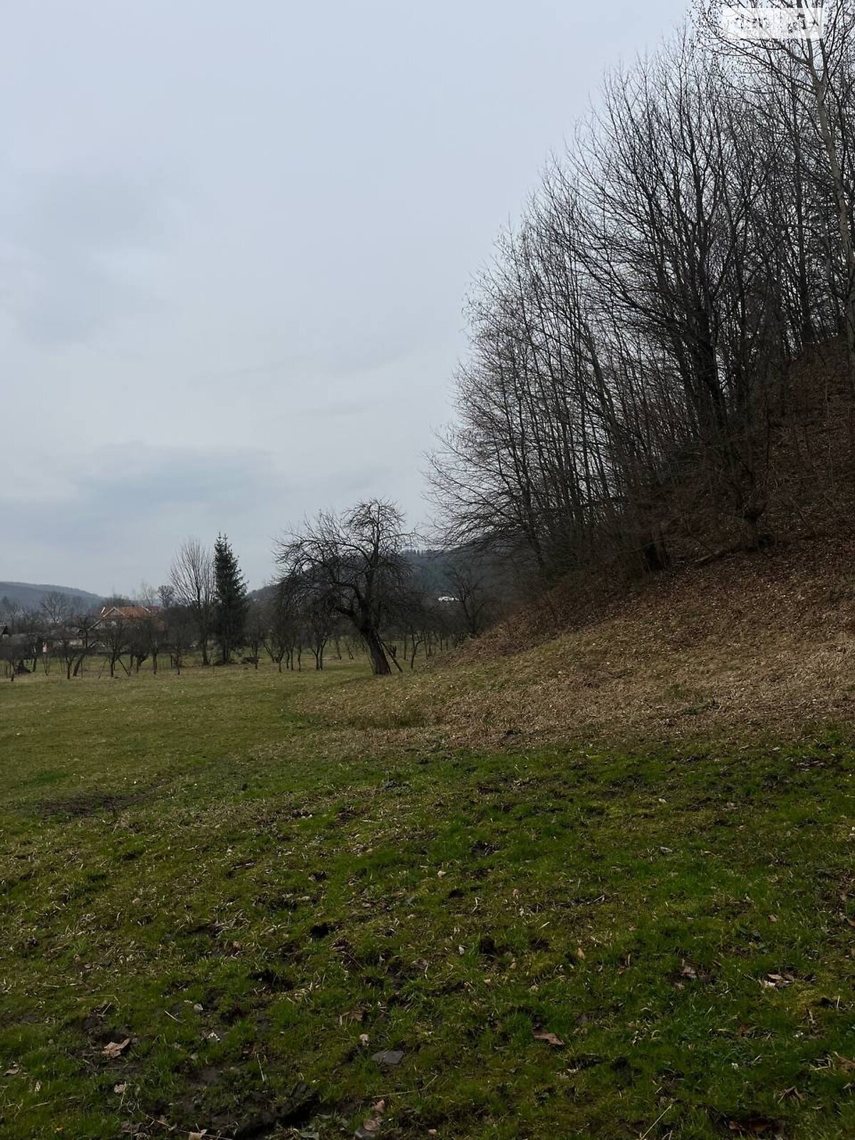 Земельна ділянка сільськогосподарського призначення в Шешорах, площа 0.3039 Га фото 1 Земельна ділянка сільськогосподарського призначення в Шешорах, площа 0.3039 Га фото 1