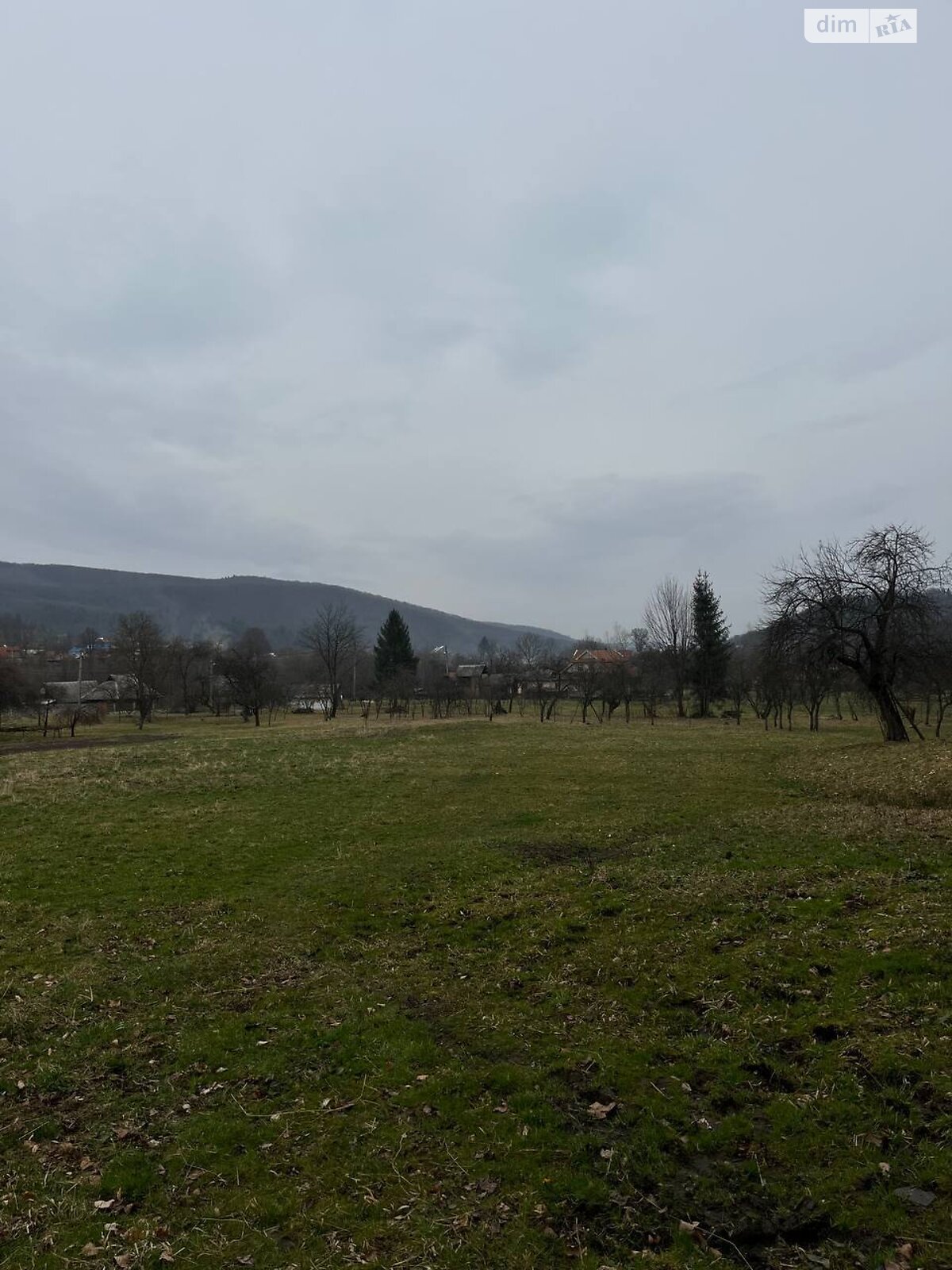 Земельна ділянка сільськогосподарського призначення в Шешорах, площа 0.3039 Га фото 1 Земельна ділянка сільськогосподарського призначення в Шешорах, площа 0.3039 Га фото 1