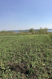 Земельный участок сельскохозяйственного назначения в Шибине, площадь 0.1733 Га фото 2