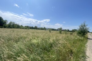 Земельный участок сельскохозяйственного назначения в Шипинцах, площадь 0.2752 Га фото 2 Земельный участок сельскохозяйственного назначения в Шипинцах, площадь 0.2752 Га фото 2