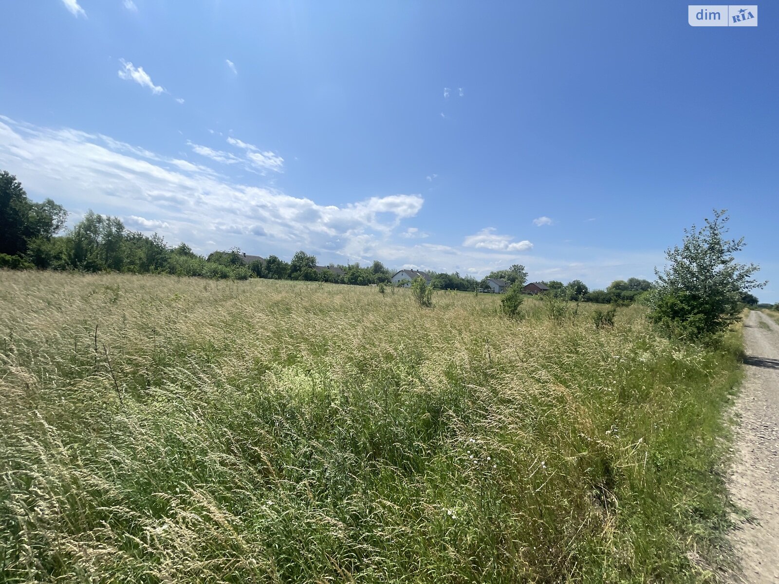 Земельна ділянка сільськогосподарського призначення в Шипинцях, площа 0.2752 Га фото 1 Земельна ділянка сільськогосподарського призначення в Шипинцях, площа 0.2752 Га фото 1