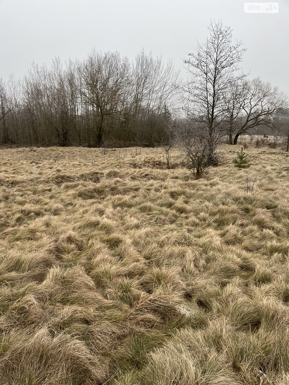 Земельна ділянка сільськогосподарського призначення в Широкій Греблі, площа 10 соток фото 1