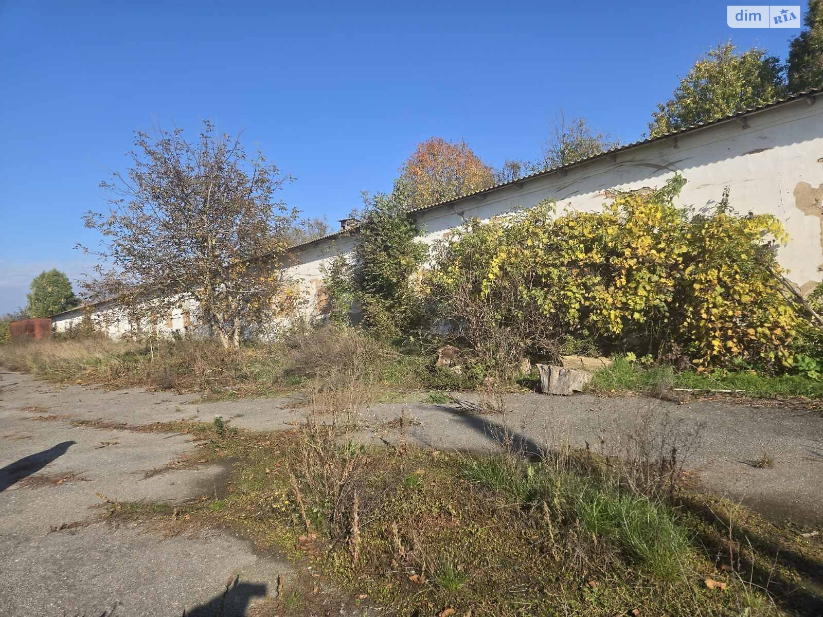 Земельный участок сельскохозяйственного назначения в Широкой Гребле, площадь 2 Га фото 1 Земельный участок сельскохозяйственного назначения в Широкой Гребле, площадь 2 Га фото 1