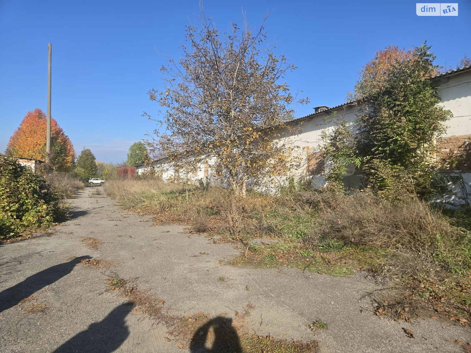 Земельный участок сельскохозяйственного назначения в Широкой Гребле, площадь 2 Га фото 1 Земельный участок сельскохозяйственного назначения в Широкой Гребле, площадь 2 Га фото 1