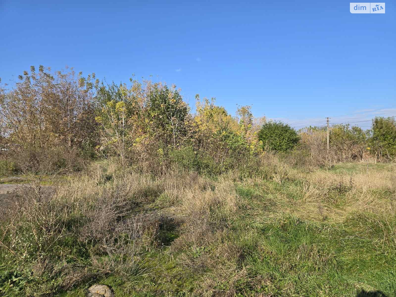 Земельный участок сельскохозяйственного назначения в Широкой Гребле, площадь 2 Га фото 1 Земельный участок сельскохозяйственного назначения в Широкой Гребле, площадь 2 Га фото 1