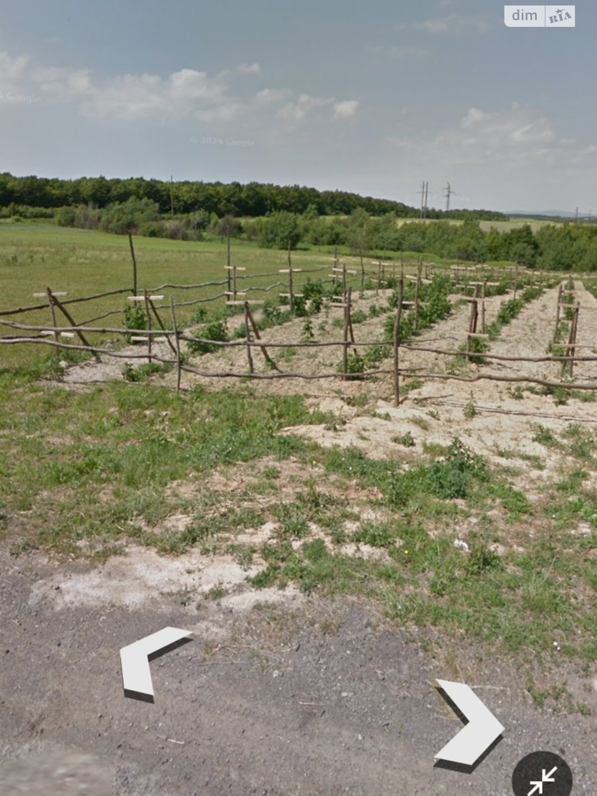 Земельна ділянка сільськогосподарського призначення в Широкому, площа 59.79 сотки фото 1