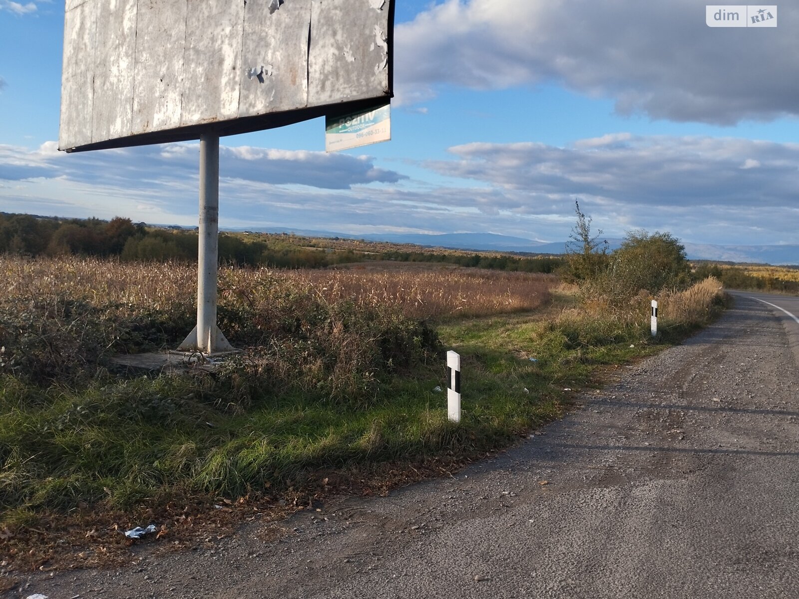 Земельна ділянка сільськогосподарського призначення в Широкому, площа 59.79 сотки фото 1