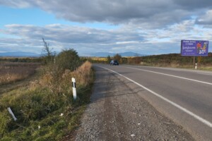 Земельна ділянка сільськогосподарського призначення в Широкому, площа 59.79 сотки фото 2